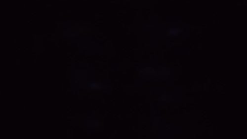 1000001216 1000001216